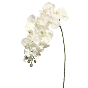 Artificial Phalaenopsis orchid branch JUANRU, white, 3ft/100cm