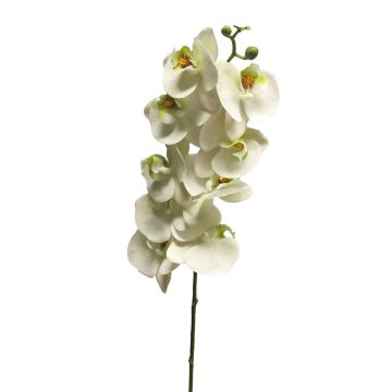 Artificial Phalaenopsis orchid branch SONGYA, white, 3ft/105cm