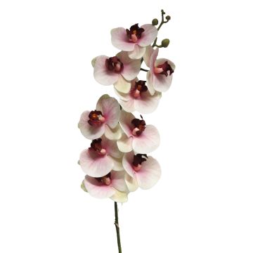 Artificial Phalaenopsis orchid branch SONGYA, pink-cream, 3ft/105cm