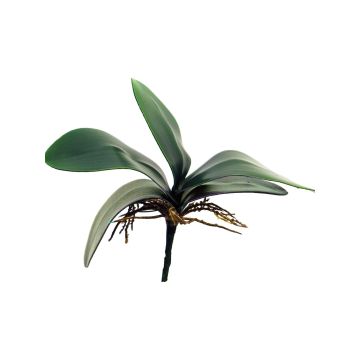 Artificial leaves of Phalaenopsis orchid XIAOQIN with aerial roots, 10"/25cm