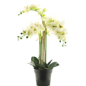 Artificial Phalaenopsis orchid CHENXU, white, 24"/60cm