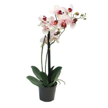 Artificial Phalaenopsis orchid CHENXU, pink-cream, 20"/50cm