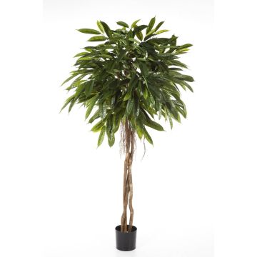 Artificial Ficus Longifolia DALIKA, natural stems, green, 6ft/180cm