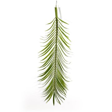 Artificial phoenix palm frond CATY, 18 pieces, 5ft/165cm