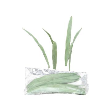 Artificial reed grass YAMIAN, 36 pieces, green-white, 6"/15cm