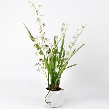 Fake orchid oncidium SHANIA ceramic pot, white-brown, 20"/50cm Ø1.2"-1.6"/3-4cm