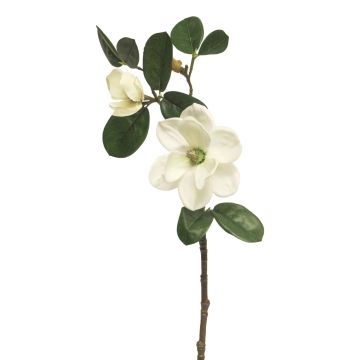 Artificial magnolia KETIAN, white, 20"/50cm