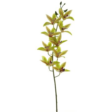 Decorative cymbidium orchid branch YAMEI, green-pink, 31"/80cm