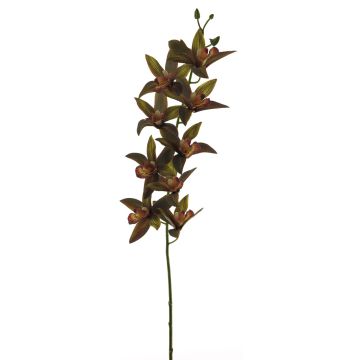 Decorative cymbidium orchid branch YAMEI, dark red-green, 31"/80cm