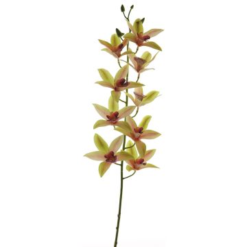 Decorative cymbidium orchid branch YAMEI, pink-green, 31"/80cm