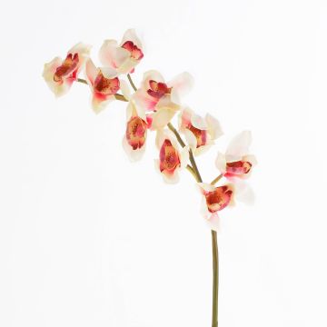 Fake sprig of orchid cymbidium OKSANA, cream-pink, 31"/80cm, Ø2.6"/6,5cm