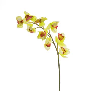 Fake sprig of orchid cymbidium OKSANA, yellow-green, 31"/80cm, Ø2.6"/6,5cm