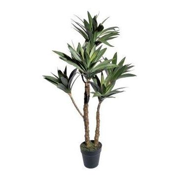 Decorative palm tree Yucca elephantipes ARONY in decorative pot, 3ft/90cm