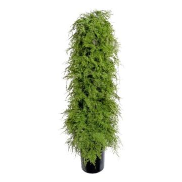 Artificial plant Asparagus plumosus VELTI, 4ft/120cm