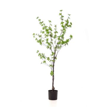 Artificial tree Tropaeolum speciosum TUFFY, artificial stem, green, 5ft/150cm