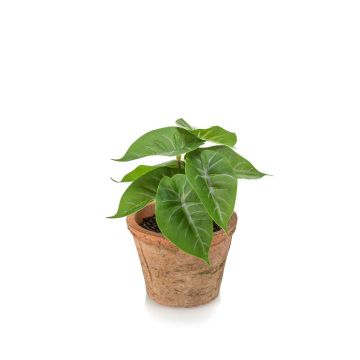 Artificial plant Anthurium ZADE in terracotta pot, green-grey, 5.1"/13cm