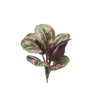 Artificial plant Calathea Roseopicta NOXY, spike, green-pink, 12"/30cm