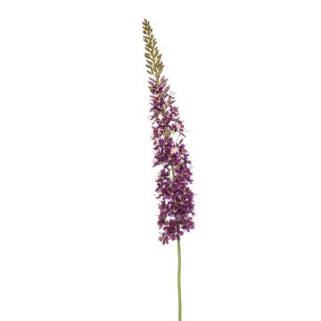 Artificial flower Eremurus NITTI, violet, 4ft/130cm