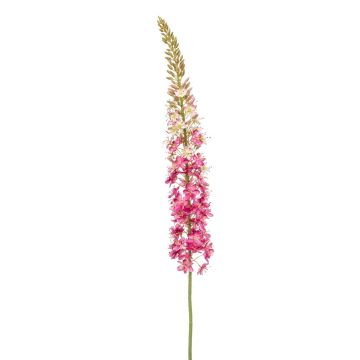 Artificial flower Eremurus NITTI, fuchsia, 4ft/130cm