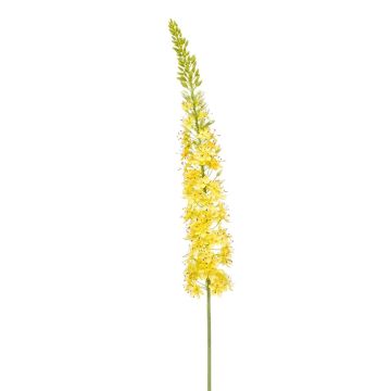 Artificial flower Eremurus NITTI, yellow, 4ft/130cm