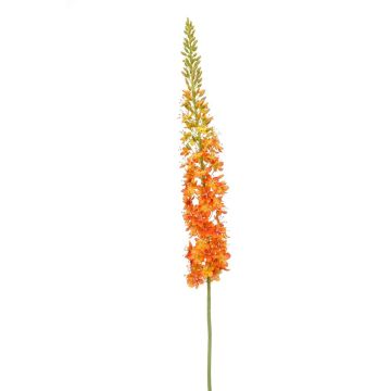 Artificial flower Eremurus NITTI, orange, 4ft/130cm