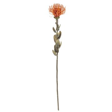 Artificial flower Pincushion protea URMINE, dry look, orange, 24"/60cm