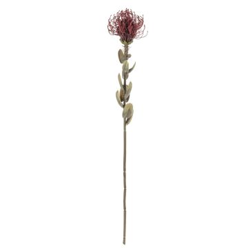 Artificial flower Pincushion protea URMINE, dry look, burgundy red, 24"/60cm