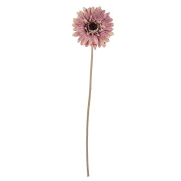 Plastic flower Gerbera TUNGUSKA, dry look, dusky pink, 20"/50cm