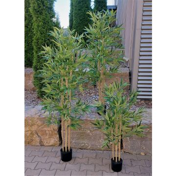 Artificial bamboo SEUMAS, real bamboo canes, 4ft/120cm