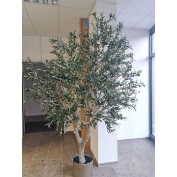 Decorative olive tree MALACHI with fruits, artificial trunk, decorative pot, 8ft/250cm