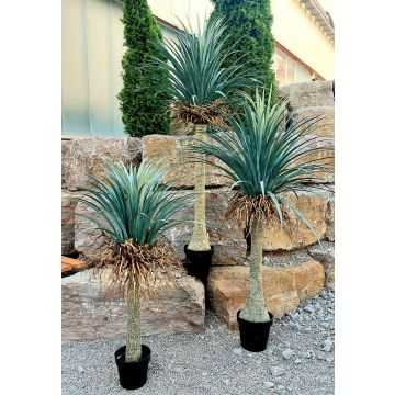 Artificial yucca rostrata HARDIN, decorative pot, 4ft/120cm