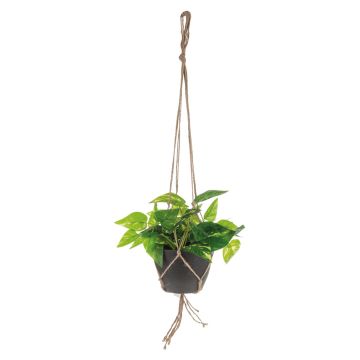 Decorative pothos hanging basket CASON in decorative pot, green, 24"/60cm