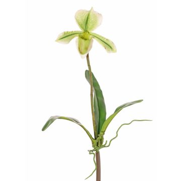 Artificial Paphiopedilum orchid VELANA, spike, green-white, 16"/40cm