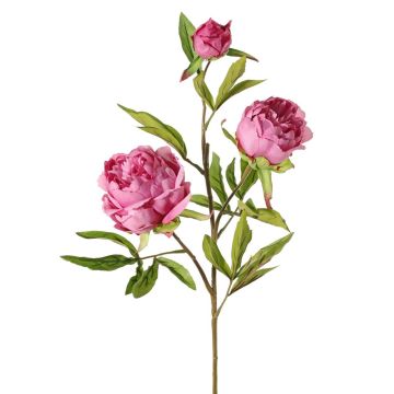 Artificial branch Peony MANJA, dusky pink-fuchsia, 28"/70cm, Ø3.1"-4"/8-10cm