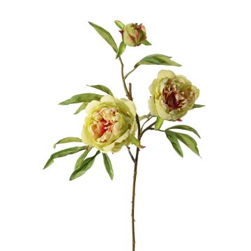 Artificial branch Peony MANJA, green-fuchsia, 28"/70cm, Ø3.1"-4"/8-10cm