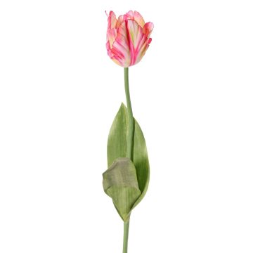 Artificial flower Parrot tulip UAKARI, pink-cream-green, 26"/65cm, Ø2.4"/6cm