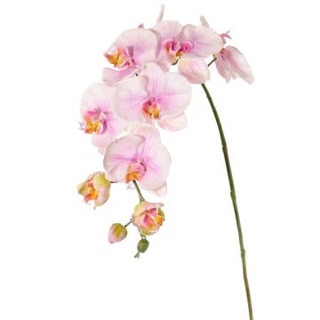 Decorative branch Phalaenopsis orchid WESA, pink-white, 3ft/100cm