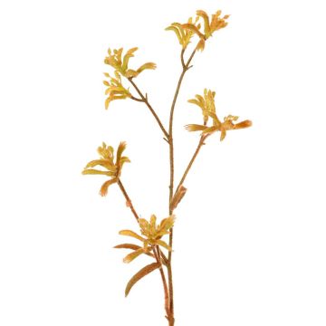 Decorative Anigozanthos LEOBER, orange-yellow, 30"/75cm