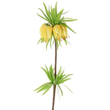 False fritillaria imperialis IMST, yellow, 26"/65cm