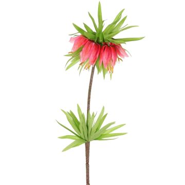 False fritillaria imperialis IMST, fuchsia, 26"/65cm