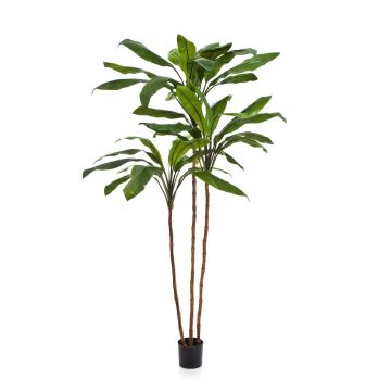 Artificial Cordyline KAIA, real stems, green, 7ft/210cm