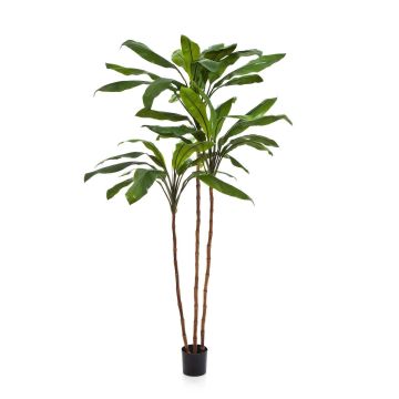 Artificial Cordyline KAIA, real stems, green, 8ft/240cm