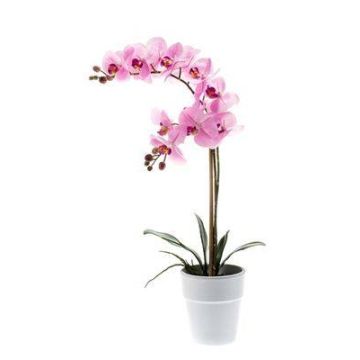 Silk phalaenopsis CANDIDA in a ceramic pot, pink, 26"/65cm, Ø2.8"-3.1"/7-8cm