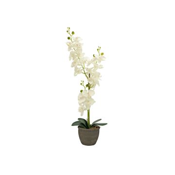 Artificial Phalaenopsis orchid KATALIN, decorative pot, cream, 31"/80cm