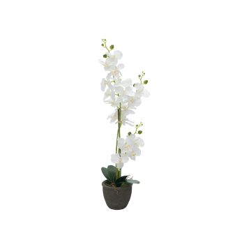 Fake Orchid Phalaenopsis KATALIN, decorative pot, white, 31"/80cm