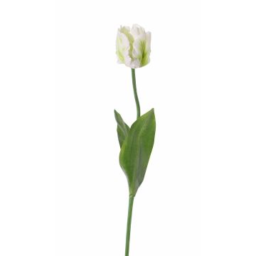 Artificial Parrot Tulip STEFANIE, white-green, 26"/65cm, Ø2.8"/7cm