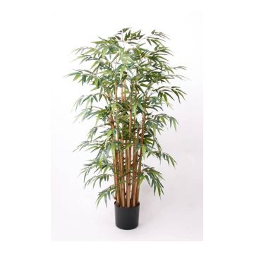 Artificial bamboo HIKITO, real stems, 5ft/145cm