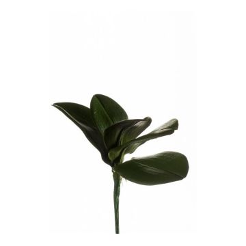 Artificial phalaenopsis leaves NIUT, spike, green, 10"/25cm