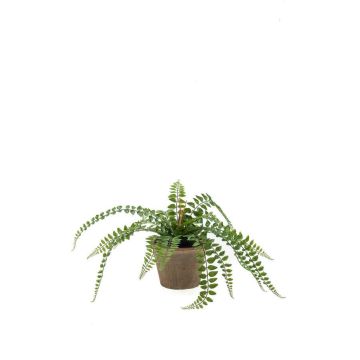 Artificial plant button fern BELONA in terracotta pot, green, 20"/50cm