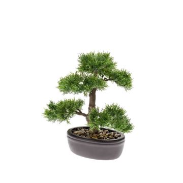 Artificial Bonsai Cedar BERTOLT in planter, 12"/30cm